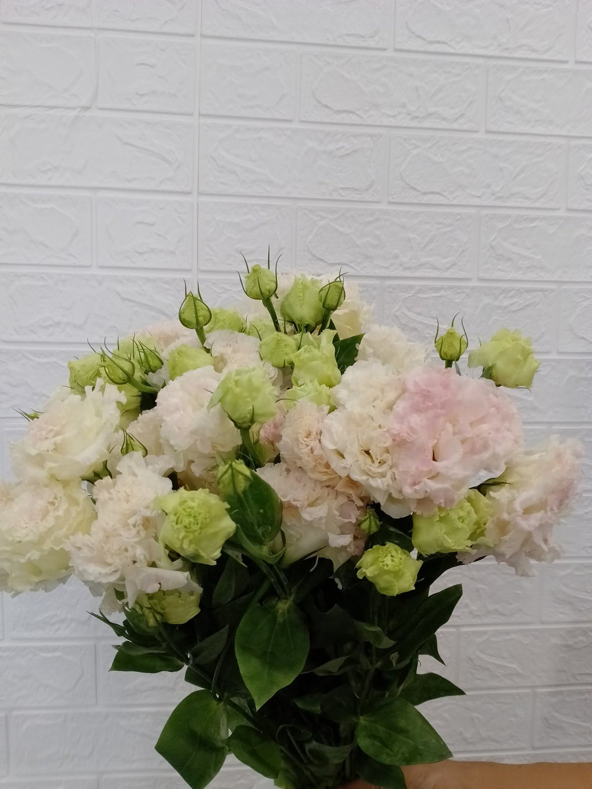 洋桔梗（香槟／冰淇淋） Eustoma (Champagne / Ice Cream), flower photo