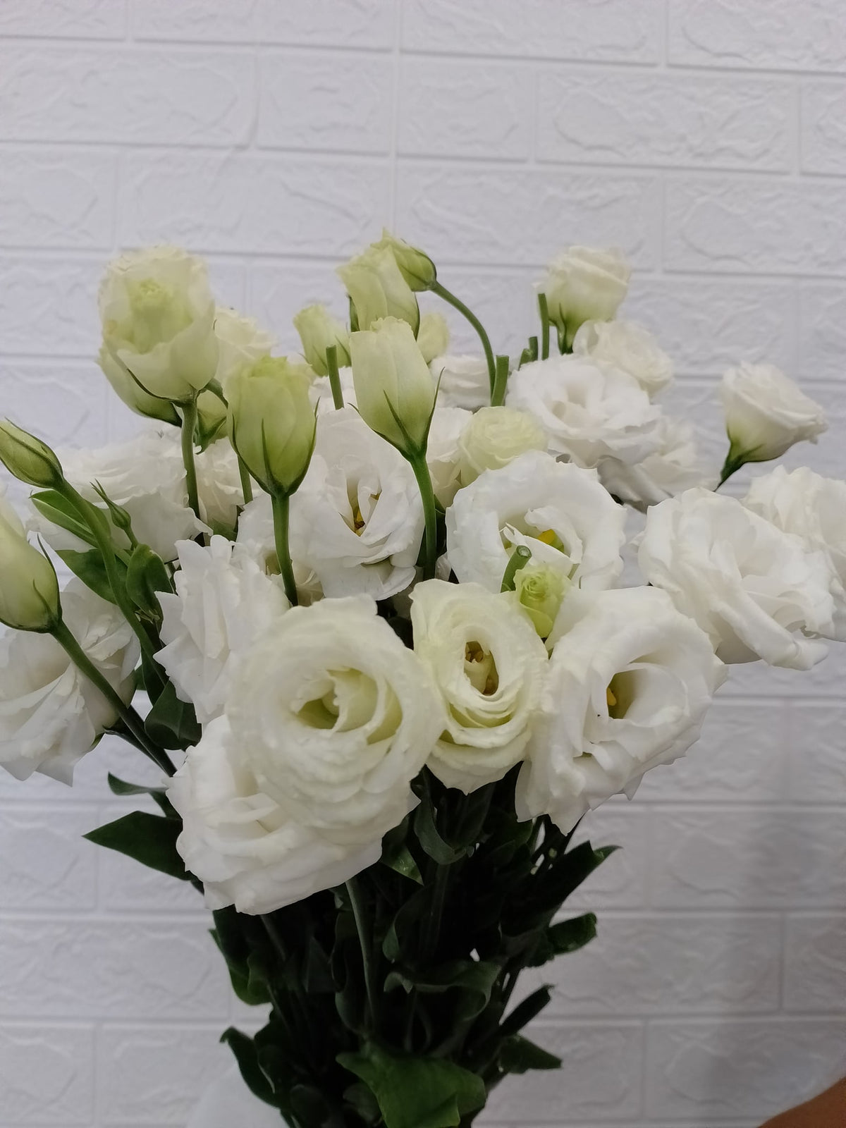 洋桔梗（白色） Eustoma (White), flower photo