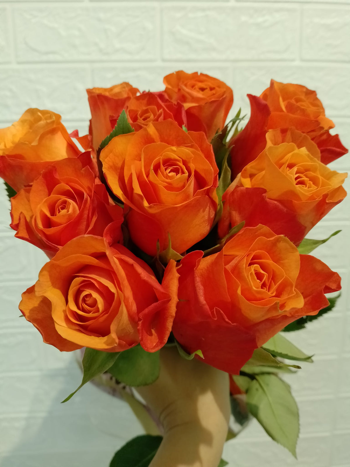 国王日玫瑰 King's Day Rose, flower photo