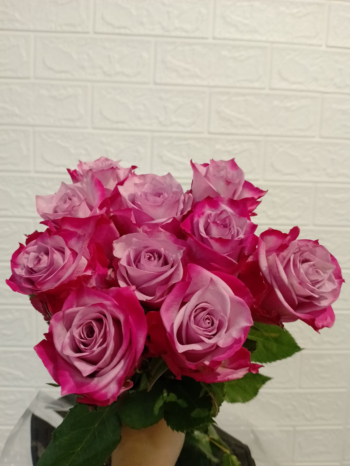 紫霞仙子玫瑰 Zixia Fairy Rose, flower photo