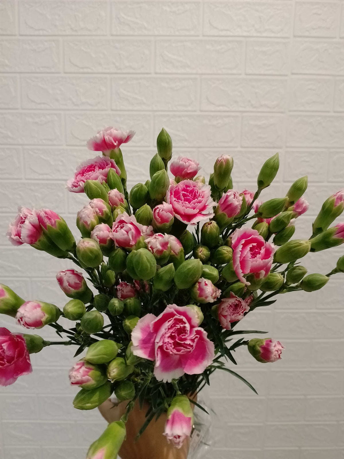 玫瑰太子小丁（粉色） Rose Prince Spray Carnation (Pink), flower photo