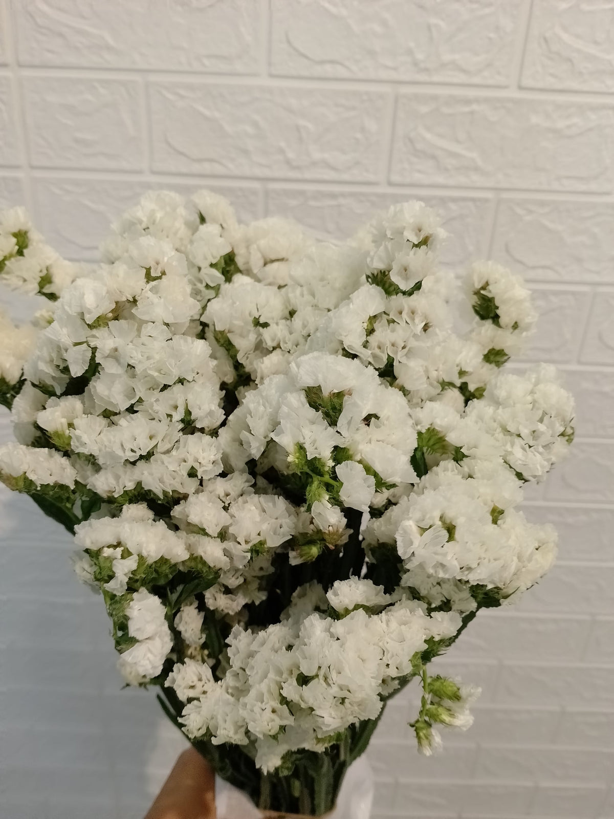 勿忘我（白色） Statice (White), flower photo