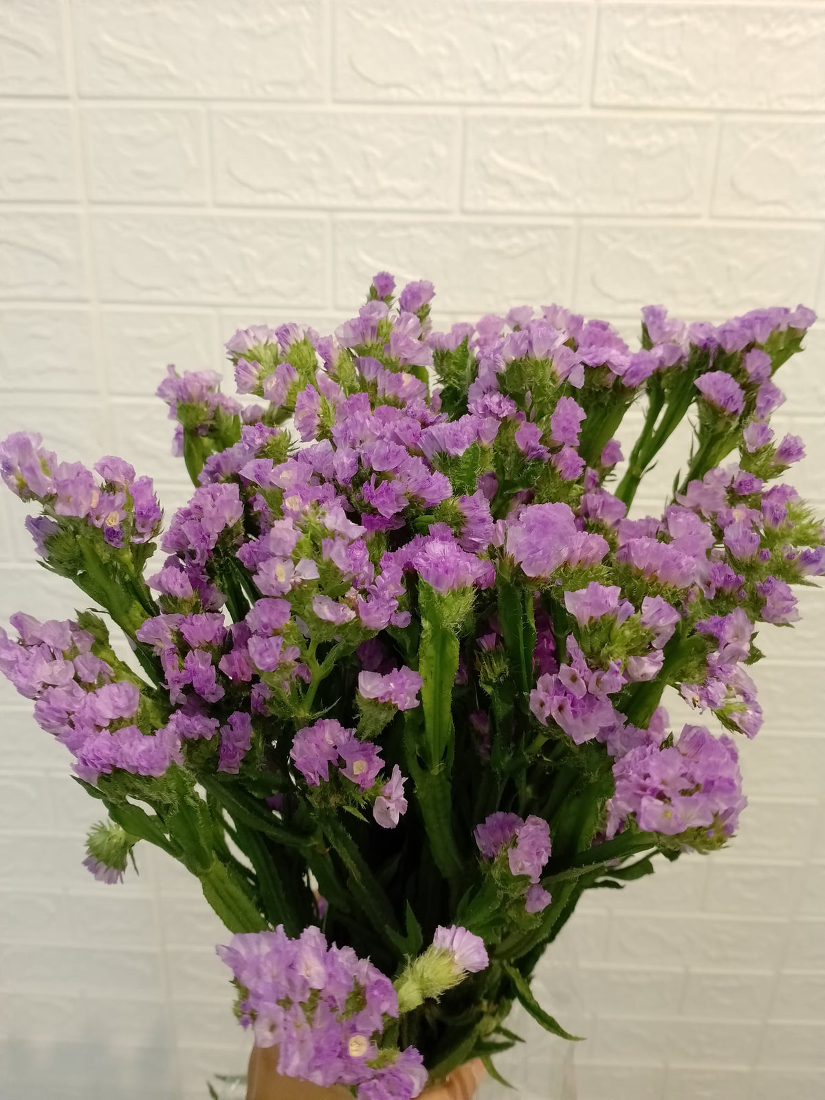 勿忘我（浅紫） Statice (Light Purple), flower photo