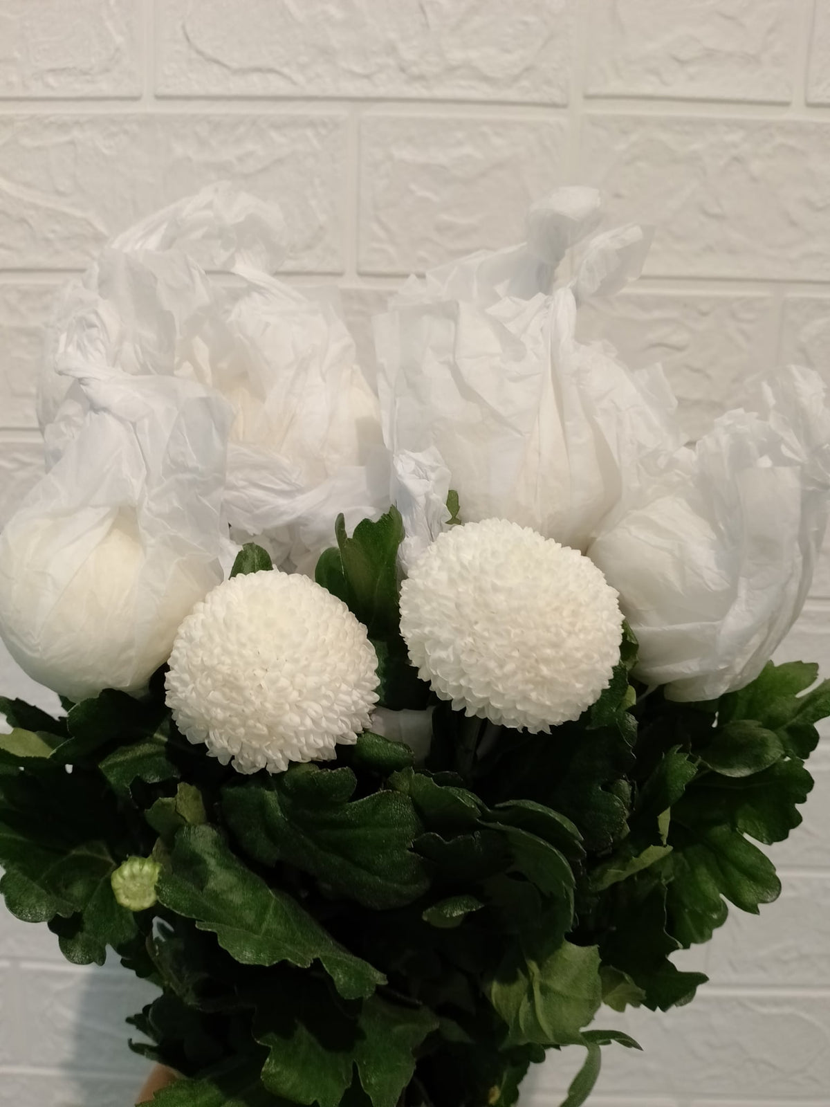 乒乓菊（白色） Ping Pong Chrysanthemum (White), flower photo